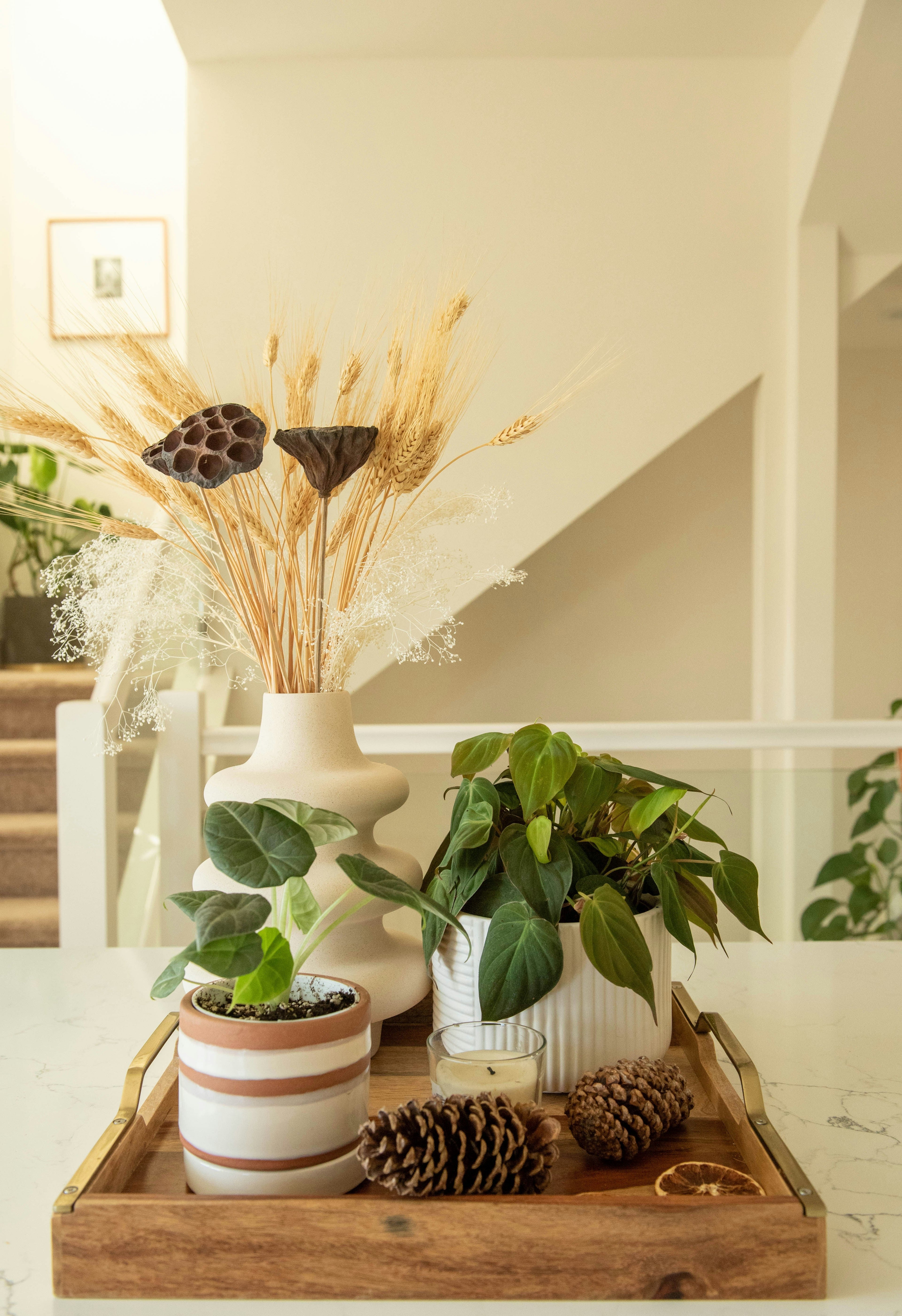 Decore